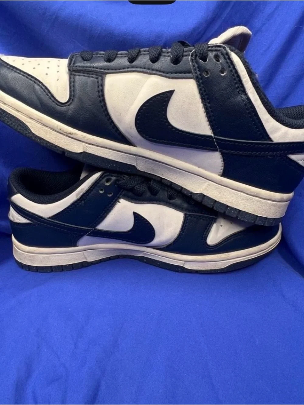 Nike dunk prm